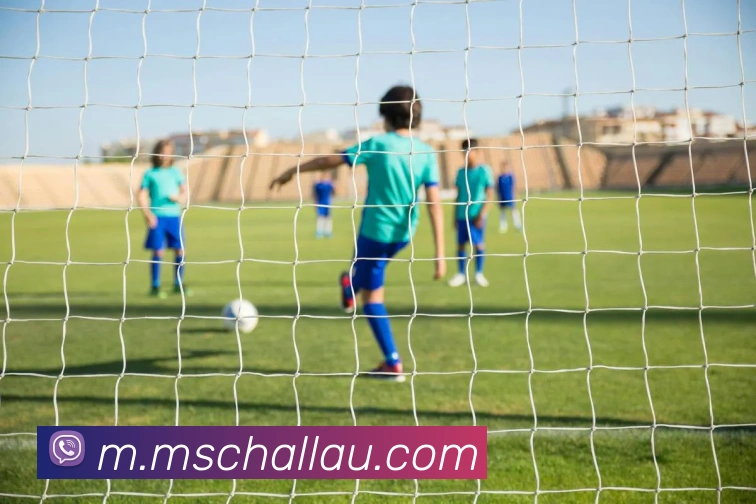 数据分析功能